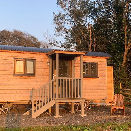 Lle Mary - Beautiful Views, Hot Tub, Secluded, Dog Welcome, Barmouth Llanddwywe Exterior photo