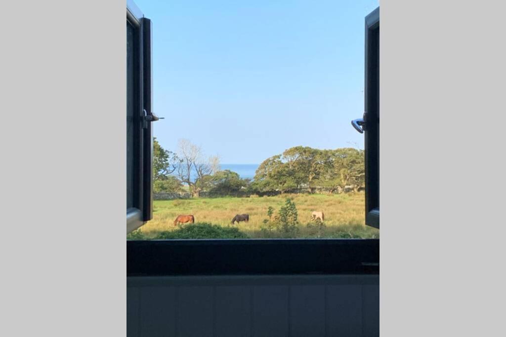 Lle Mary - Beautiful Views, Hot Tub, Secluded, Dog Welcome, Barmouth Llanddwywe Exterior photo